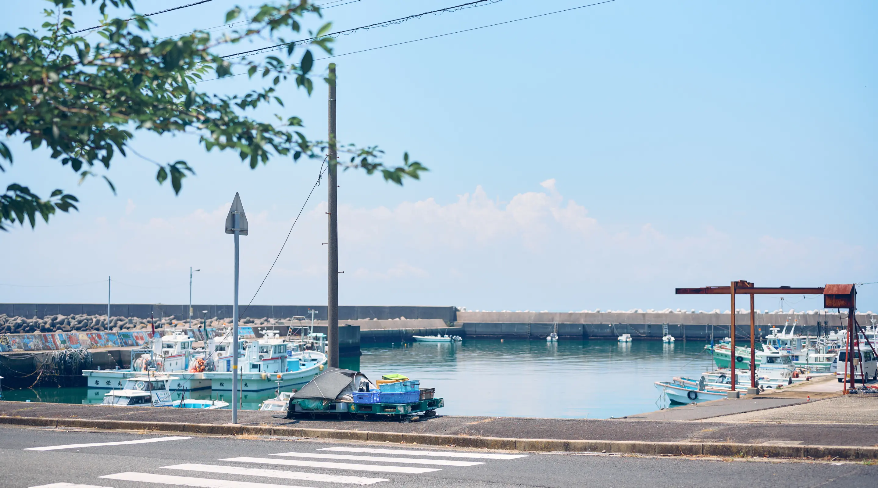 沼島汽船　沼島～淡路島土生（はぶ） 紹介画像