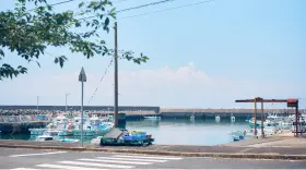 沼島汽船　沼島～淡路島土生（はぶ） 紹介画像