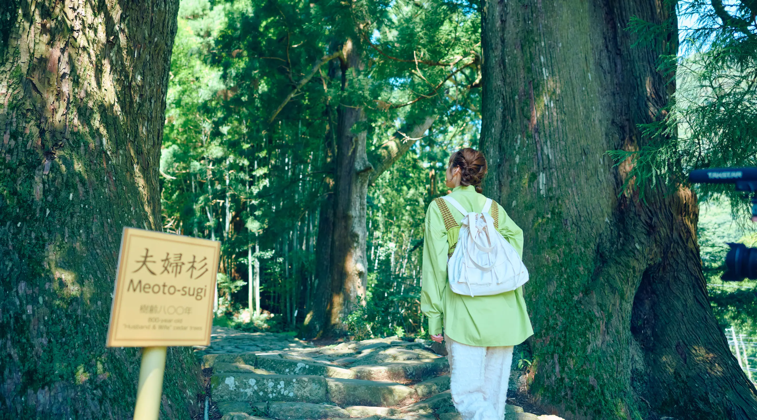 熊野古道 大門坂 紹介画像