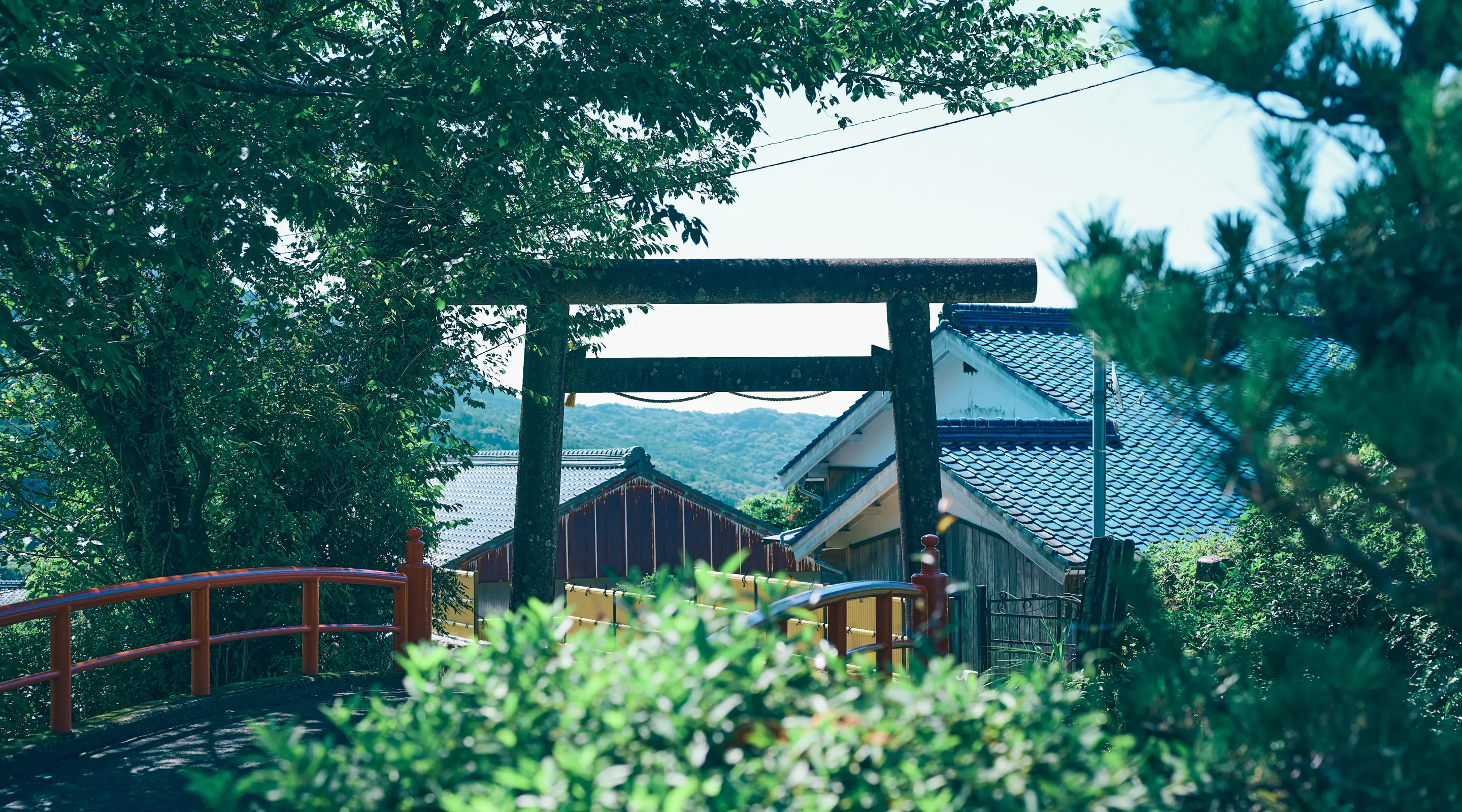 熊野古道 大門坂 紹介画像