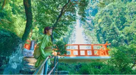 飛瀧神社 紹介画像