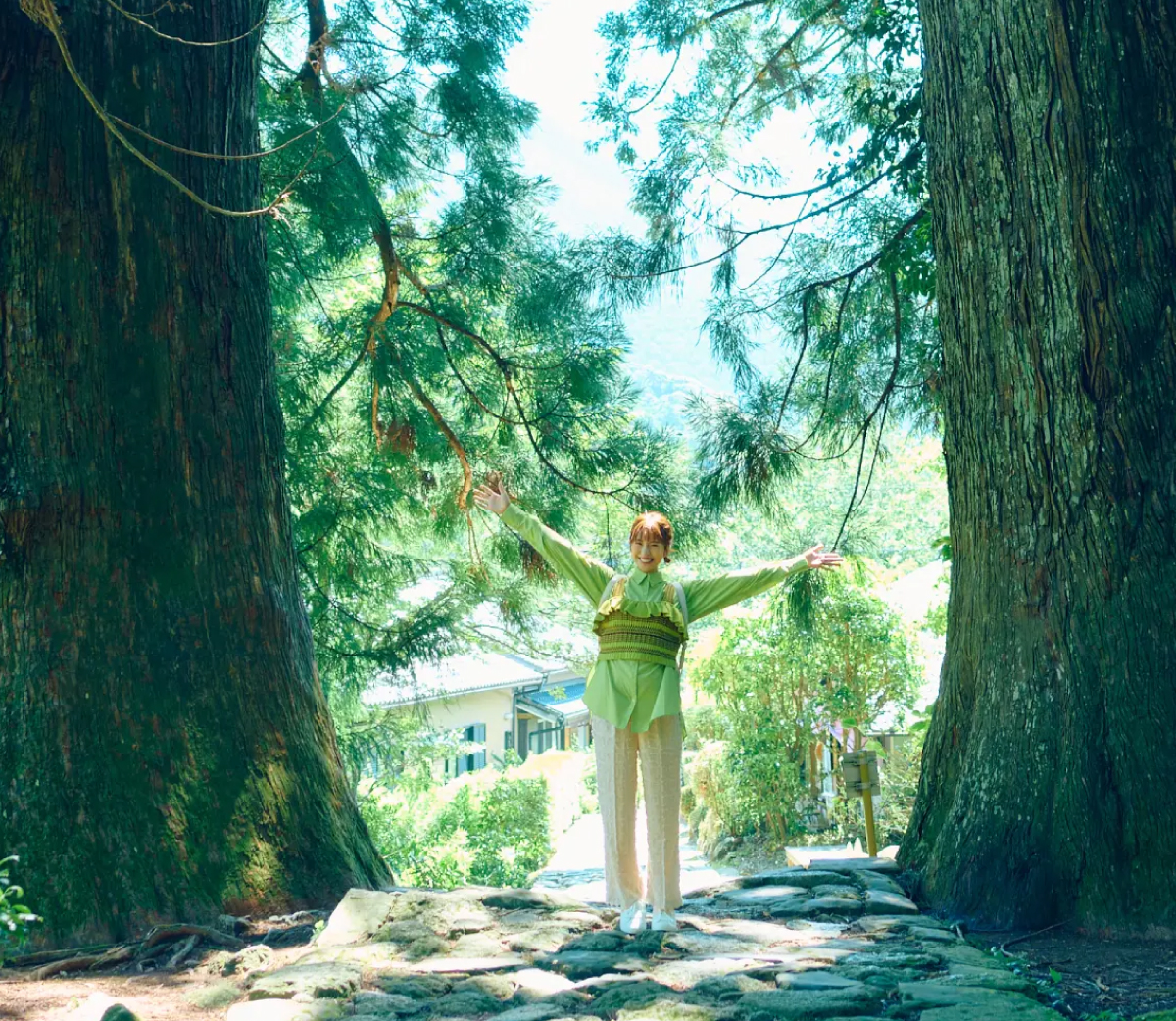 和歌県山紹介画像（海岸沿いの歩道）