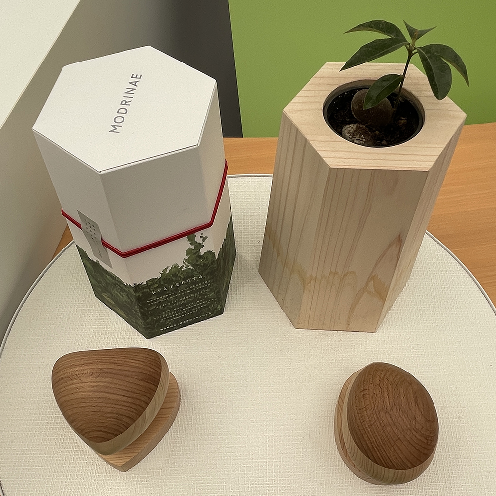 「戻り苗」と「森の木霊」の実際の展示品。